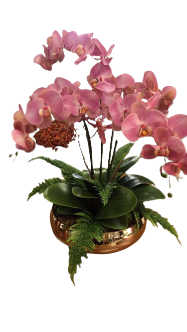 Arranjo de Orquídeas